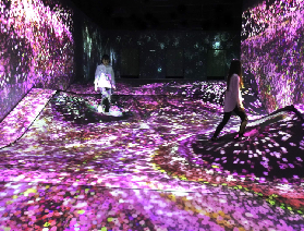 福岡teamLab森林美術館門票