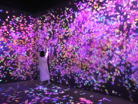 福岡teamLab森林實測｜預訂前必看3個坑！超抵玩但別踩雷✨