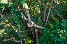 加拿大北溫哥華｜卡皮拉諾吊橋公園實玩日記！樹頂探險超讚還看到彩虹🌈