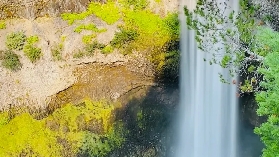 溫哥華一日遊包車預訂前必睇！避坑+選品全攻略✨