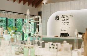 臺中薰衣草森林門票實測！預訂前必看這5個隱藏福利✨