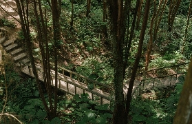 臺中薰衣草森林避坑指南！這5件事一定要註意⚠️