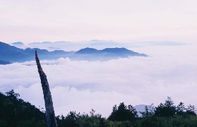 臺中深山秘境實測！大雪山門票攻略+四季玩法全整理✨