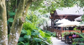 臺中沐心泉實測｜八公頃山林太療愈！金針花+雲海全攻略✨