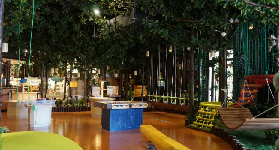 木育森林DIY課程｜3個避坑指南！別讓小細節掃興💡