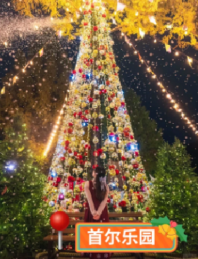 開始期待首爾聖誕節了！氛圍感max