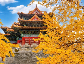 12月初來北京的朋友們請看