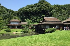 橫濱三溪園｜臺灣人親測！日式庭園隱藏版體驗大公開🔥