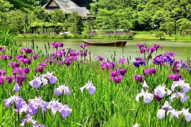 日本三溪園門票｜行程規劃+避坑全攻略｜關東必訪日式庭園
