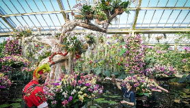 倫敦必去景點》英國皇家植物園邱園（交通、展區、打卡亮點全攻略）