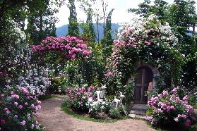 河口湖必訪！八音盒之森美術館超讚體驗+行程規劃懶人包📜