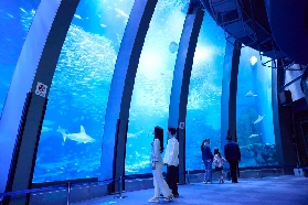 🌊橫濱八景島海島樂園｜東京周邊全能海洋樂園攻略！