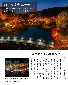 收藏！伊豆夜間燈光地圖，日本賞楓自由行推薦