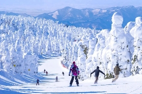 2025-2026日本雪季開板！頂級雪場票價＆開放時間