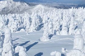 仙臺一日遊選銀山溫泉還是藏王樹冰？實測分析+懶人包✨