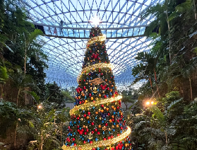 新加坡巨大聖誕"痛城"！12月聖誕攻略(上)