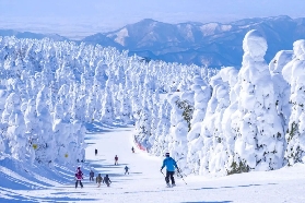 第一次去日本滑雪？看這篇就夠了，雪場推薦！