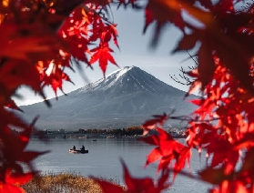 東京到河口湖直達巴士實測！4個隱藏亮點+避坑指南超讚✨