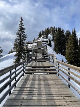 班夫硫磺山纜車｜臺客實測！頂樓美景+隱藏玩法大公開💫
