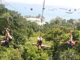 新加坡聖淘沙飛龍探險樂園滑索｜預訂前必睇！450米高空飛越沙灘超抵玩✨
