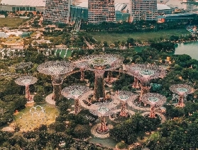 新加坡必打卡的9個免費景點❗️千萬別錯過