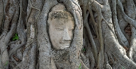 大城一日遊懶人包｜臺灣人實測3個必註意+影劇迷必衝✨