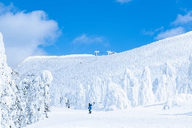 藏王滑雪雪具租借實測｜3個隱藏技巧讓你玩到爽不踩雷❄️
