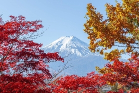 【富士山一日遊攻略】3大必去打卡點+行程規劃避坑｜親測有效✨