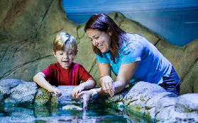 悉尼水族館實測！4大必逛展區+隱藏玩法不藏私🤩