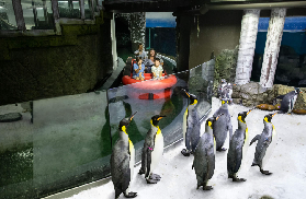 悉尼SEA LIFE水族館避坑指南｜3個容易忽略的細節