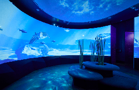 墨爾本水族館玩透透｜動森聯名+隱藏玩法大公開！超讚體驗