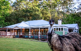 可倫賓野生動物園實測！彩虹鸚鵡飛肩超讚體驗分享🐦