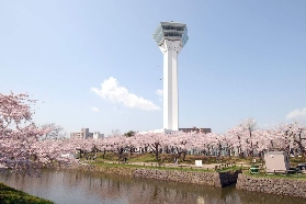 北海道函館五稜郭塔實測｜爬451階梯看星形城郭超讚！避坑指南
