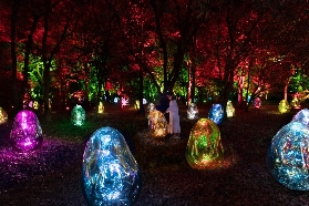 大阪teamLab植物園門票｜預訂前必睇！3個超抵避坑貼士✨