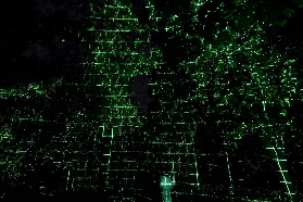 大阪teamLab植物園夜間體驗｜走進光影森林超讚！實測亮點分享🌿