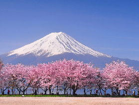 2025-26日本滑雪活動合集