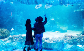 雪梨景點通票實測｜選2/3/4個景點超抵！預訂前必睇避坑指南✨