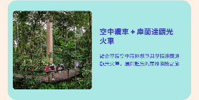 凱恩斯空中纜車｜臺灣人親測！雨林瀑布超震撼✨