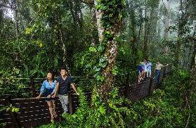 凱恩斯Skyrail保姆級攻略｜3小時行程全解析🚠