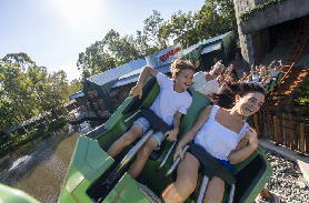 黃金海岸夢幻世界一日遊實測｜刺激設施+萌寵互動超讚！🐨