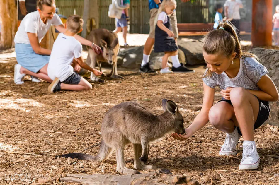 黃金海岸夢幻世界避坑指南｜實測3天總結的實用 tips 📝