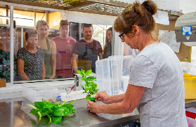 凱恩斯蝴蝶保護區｜玩後總結避坑｜行程規劃看這篇就夠！🤩