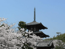 JR關西Pass實測｜選對券省一半！3個預訂坑別踩✨