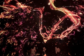 京都teamLab新館夯爆！日本最大永久館實測｜行程規劃+體驗亮點大公開🥳