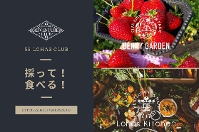 栃木冬季一日遊｜雪屋祭+草莓吃到飽實測！3個必知亮點避坑💡