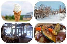 北海道一日遊實測｜旭山動物園企鵝散步+美瑛牧場小馬車超讚！