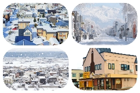 北海道一日遊避坑指南｜旭山動物園&精靈露臺行程必看！