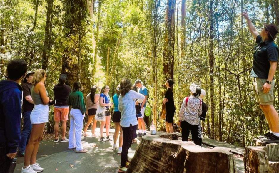 大洋路一日遊實玩｜Go West帶我見到野生無尾熊！十二門徒超震撼✨