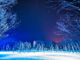 北海道冬季必試！旭山企鵝散步+青池夜景｜預訂前避坑指南🐧