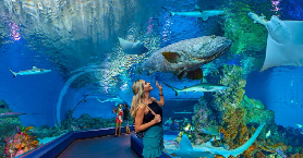 凱恩斯水族館實測｜$xxx值回票價？3個避坑技巧+必玩項目全公開✨